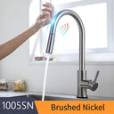  1005-Brush Nickel