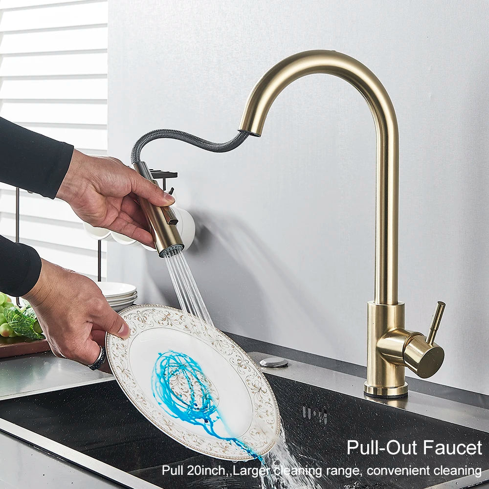 Black Kitchen Faucet Two Function Single Handle Pull Out Mixer Hot and Cold Water Taps Deck Mounted